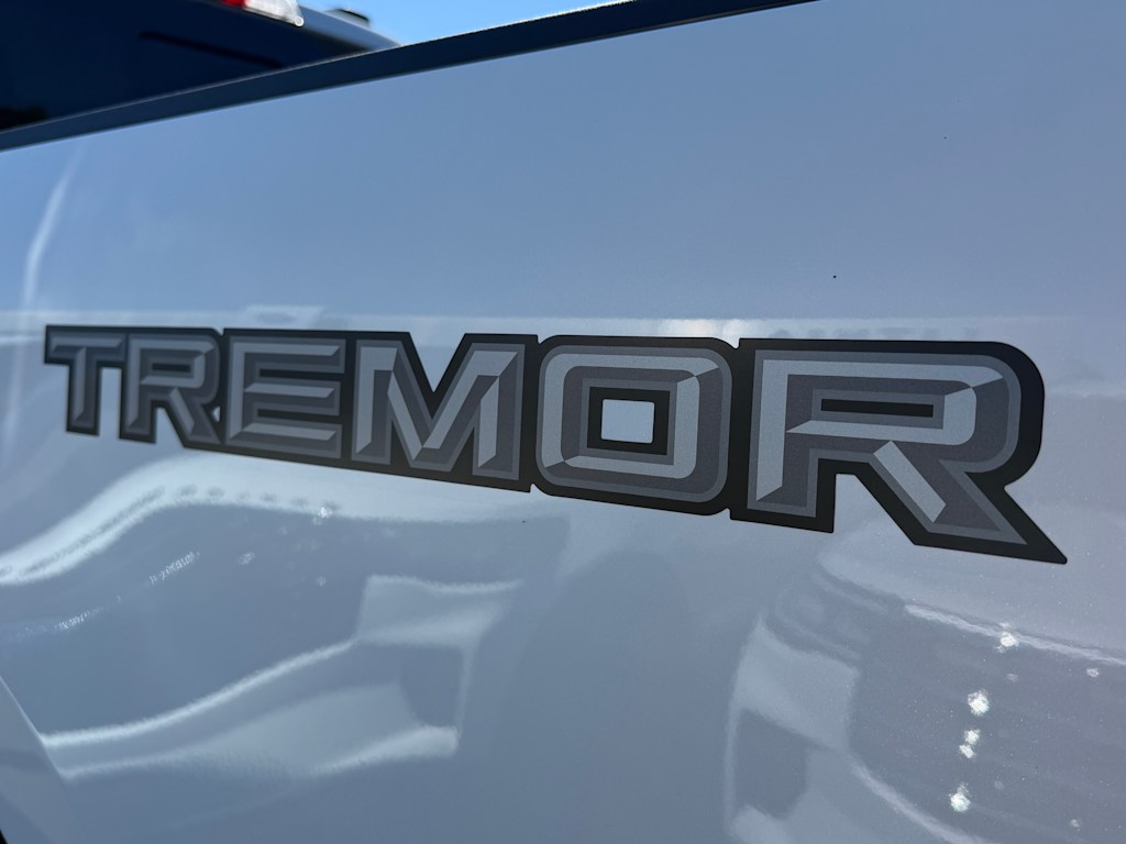Thumbnail: 2026 Ford F-250 - 20