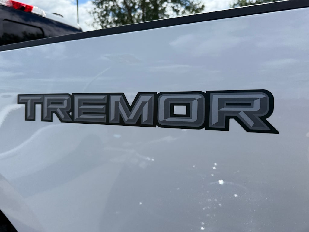 Thumbnail: 2025 Ford F-350 - 20