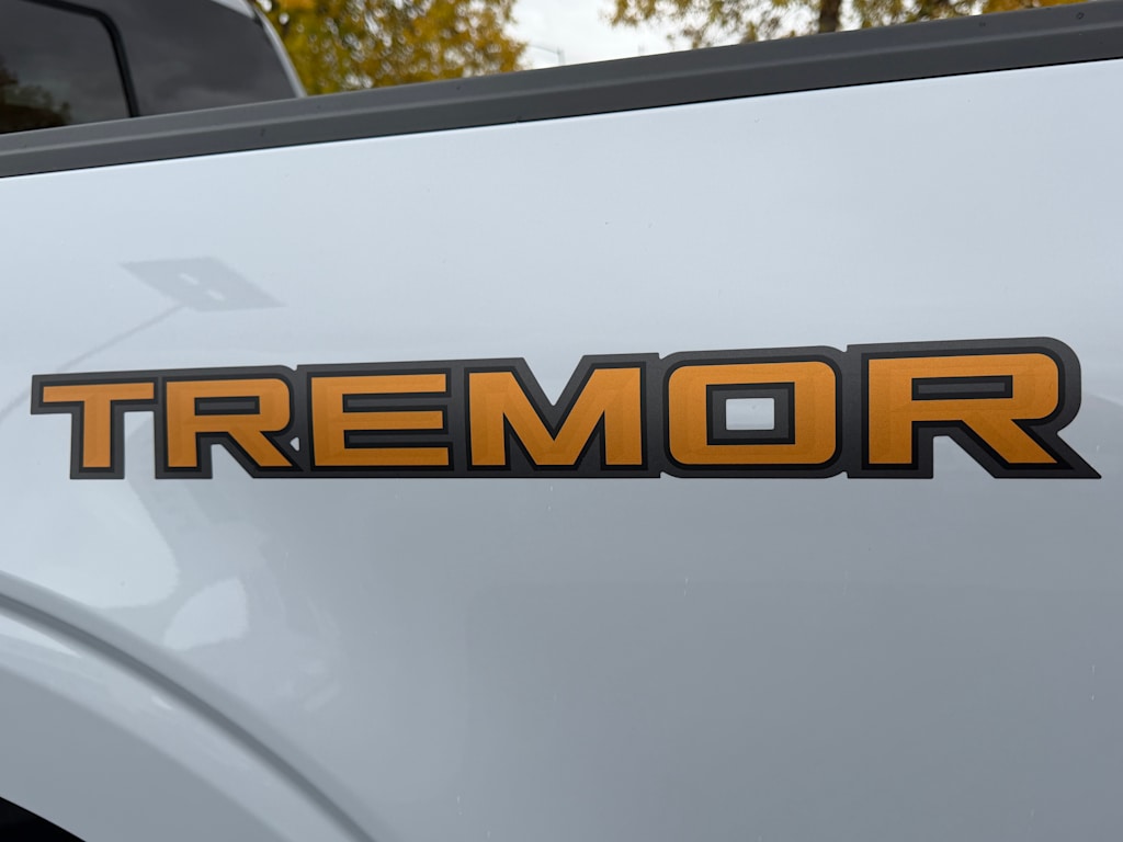 Thumbnail: 2025 Ford F-150 - 32