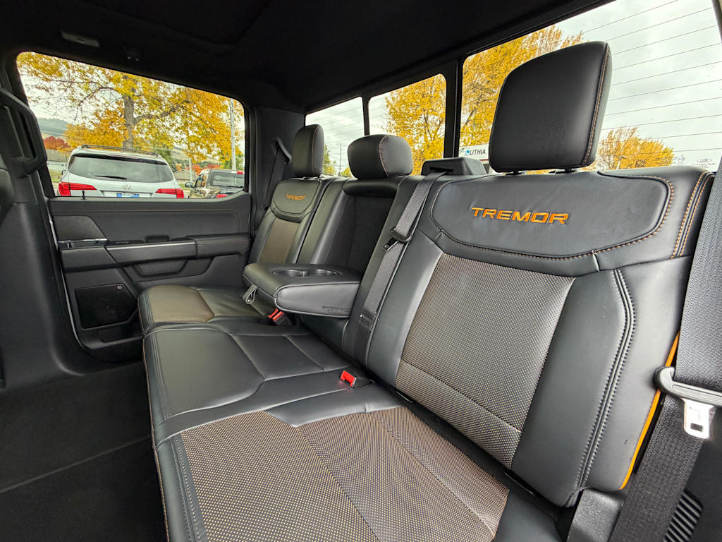 Thumbnail: 2025 Ford F-150 - 29