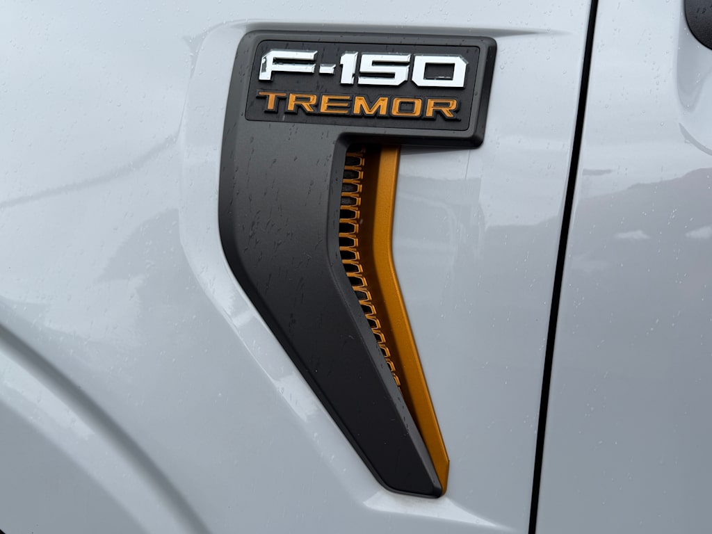 Thumbnail: 2025 Ford F-150 - 31