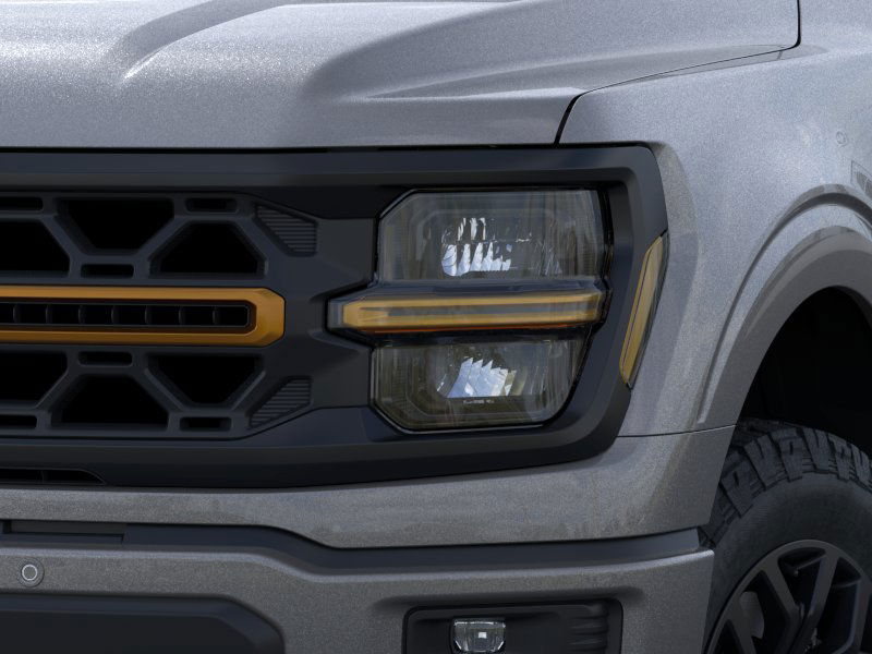 2025 Ford F-150 Tremor 19