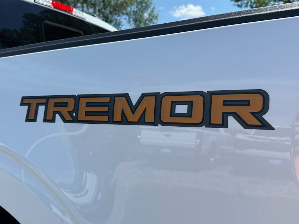 Thumbnail: 2025 Ford F-150 - 21