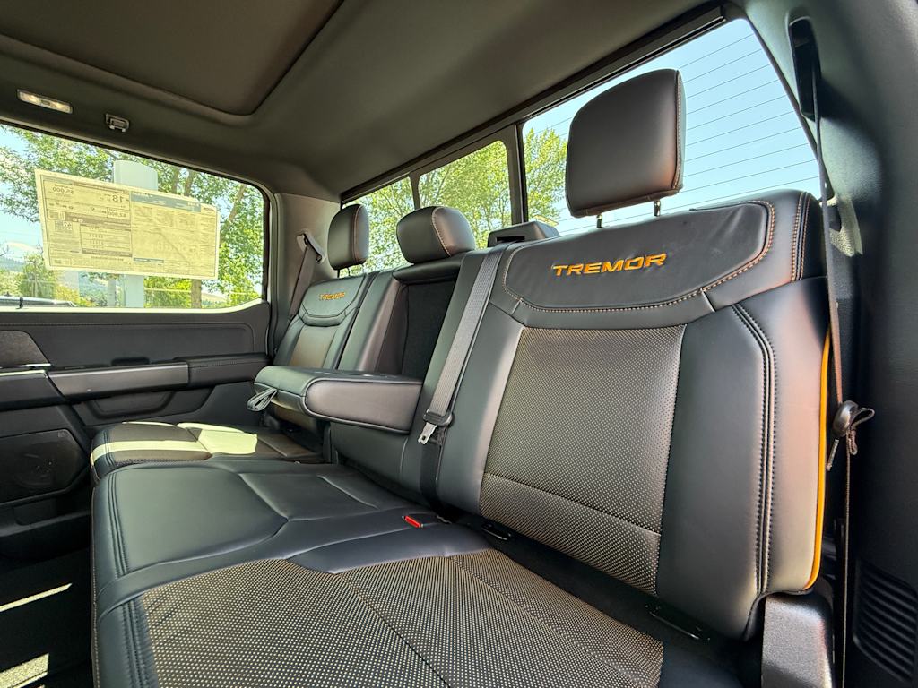 Thumbnail: 2025 Ford F-150 - 33