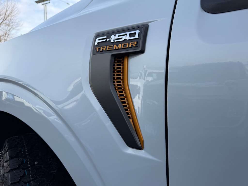 Thumbnail: 2025 Ford F-150 - 33