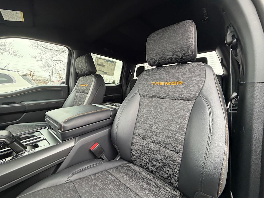 Thumbnail: 2025 Ford F-150 - 9