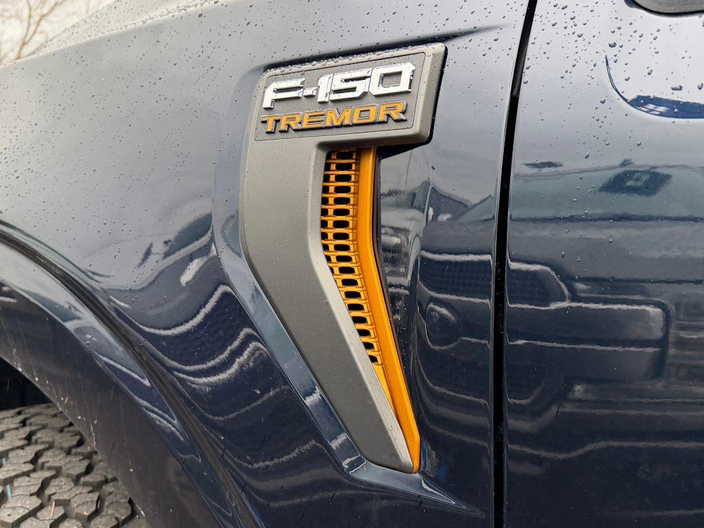 Thumbnail: 2025 Ford F-150 - 5