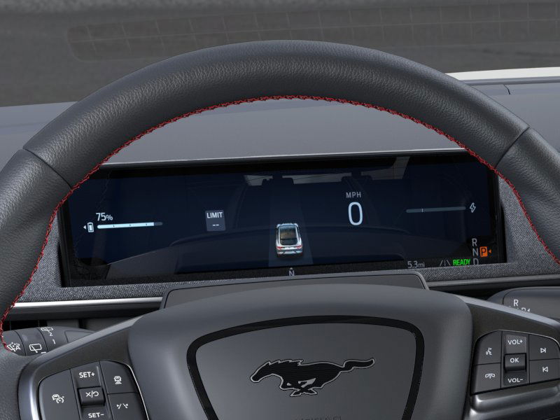 2025 Ford Mustang Mach-E Premium 17