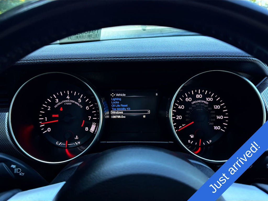 Thumbnail: 2019 Ford Mustang - 13