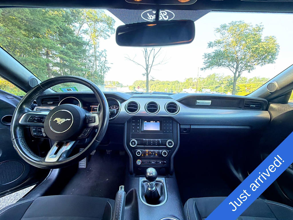 Thumbnail: 2019 Ford Mustang - 7