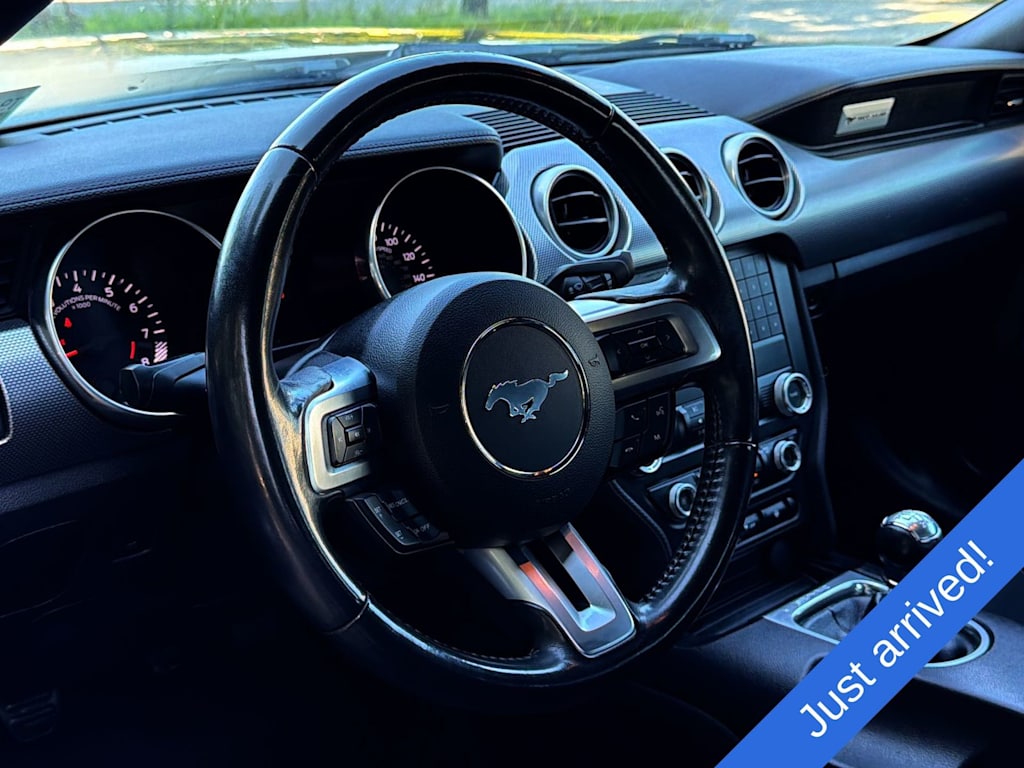Thumbnail: 2019 Ford Mustang - 11