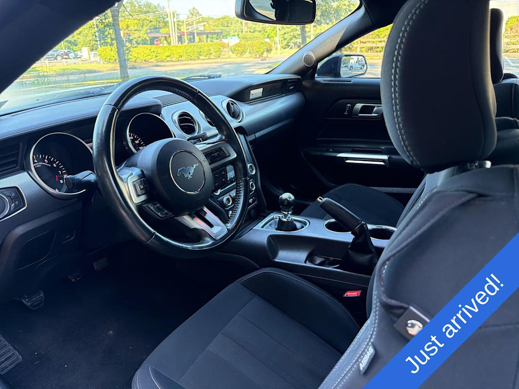 Thumbnail: 2019 Ford Mustang - 2