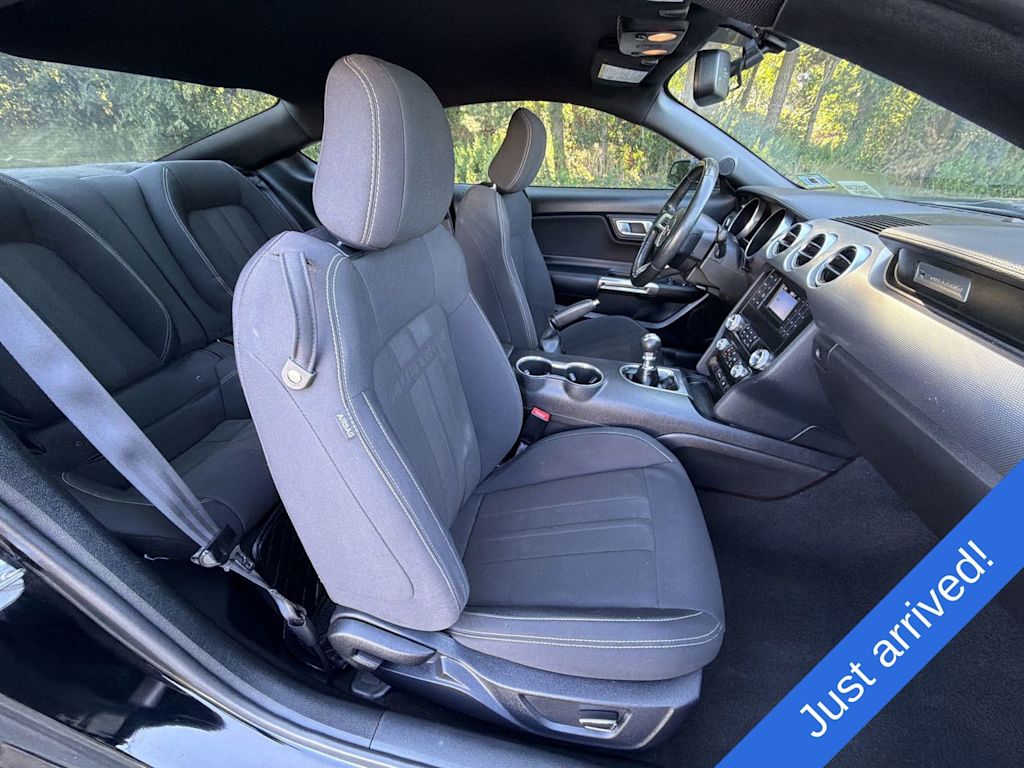 Thumbnail: 2019 Ford Mustang - 9