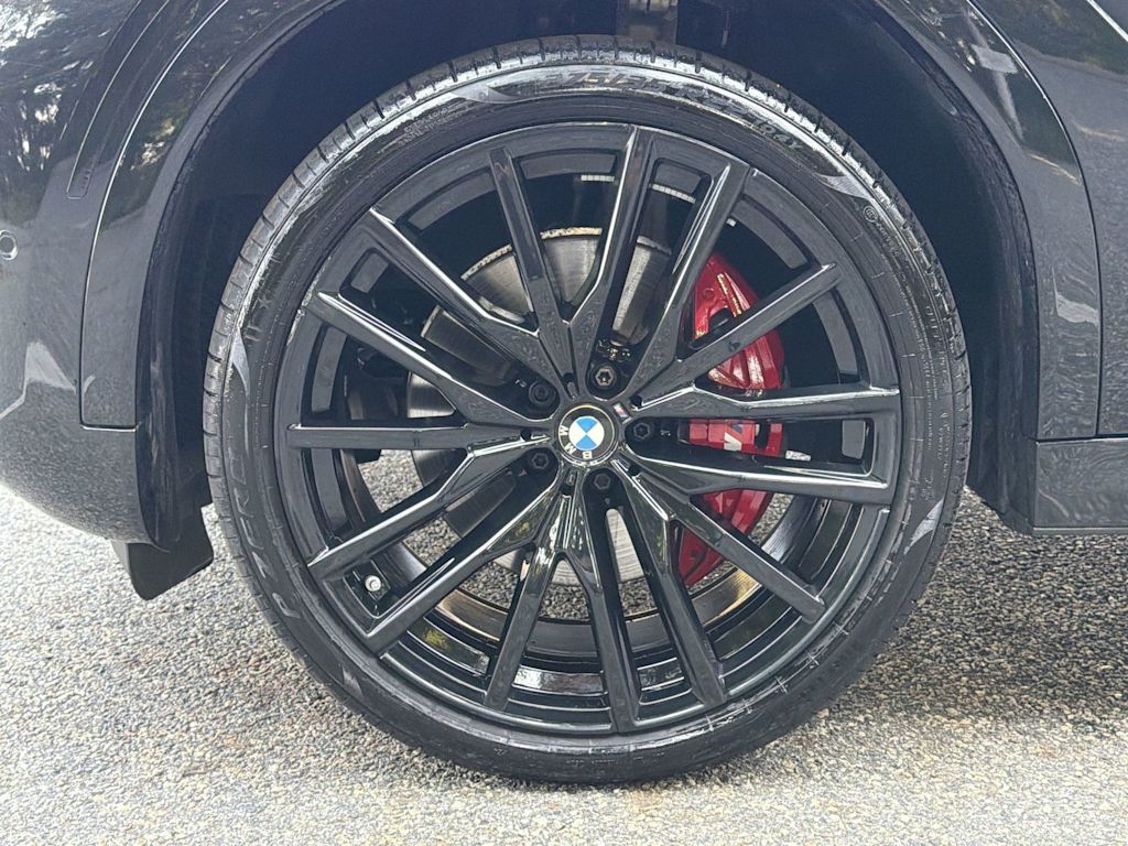 Thumbnail: 2025 BMW X6 - 8