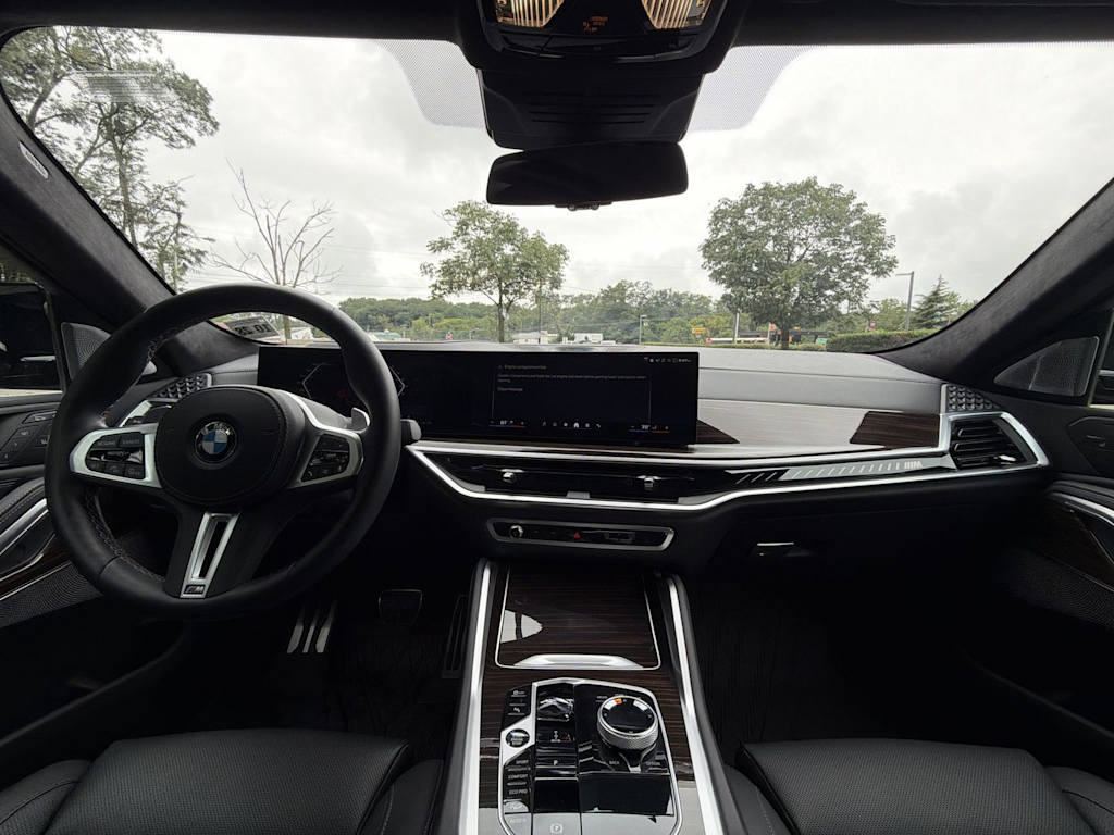 Thumbnail: 2024 BMW X6 - 10