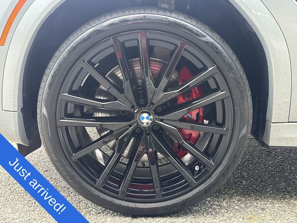 Thumbnail: 2024 BMW X6 - 8