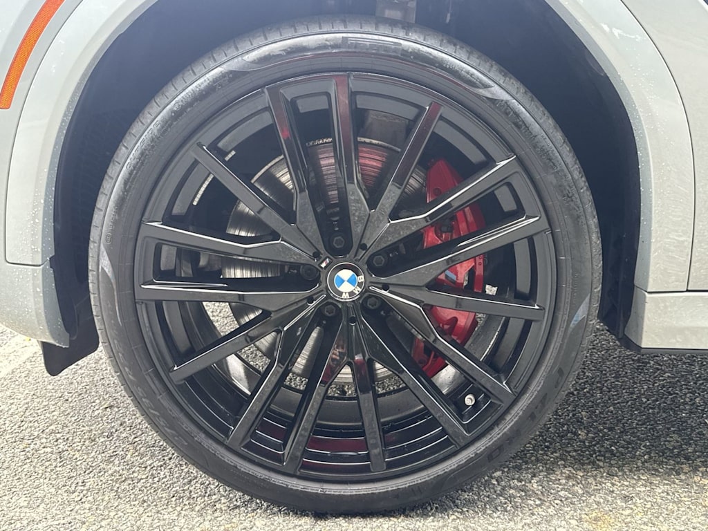 Thumbnail: 2024 BMW X6 - 8