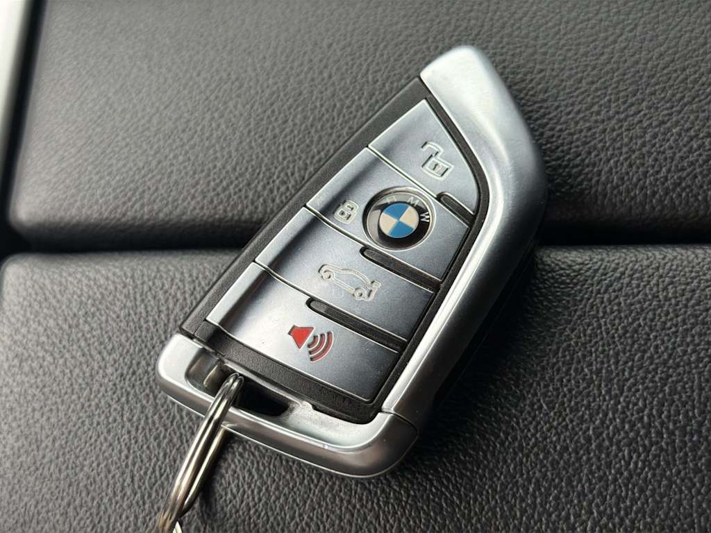 Thumbnail: 2019 BMW X5 - 19