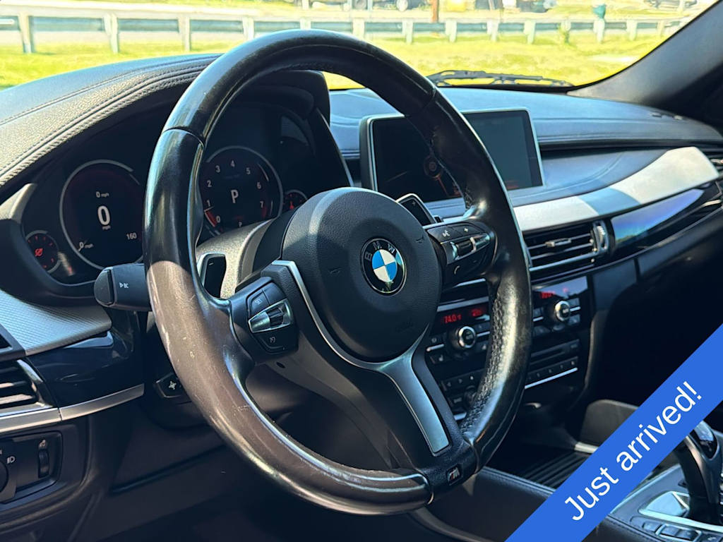 Thumbnail: 2016 BMW X6 - 14