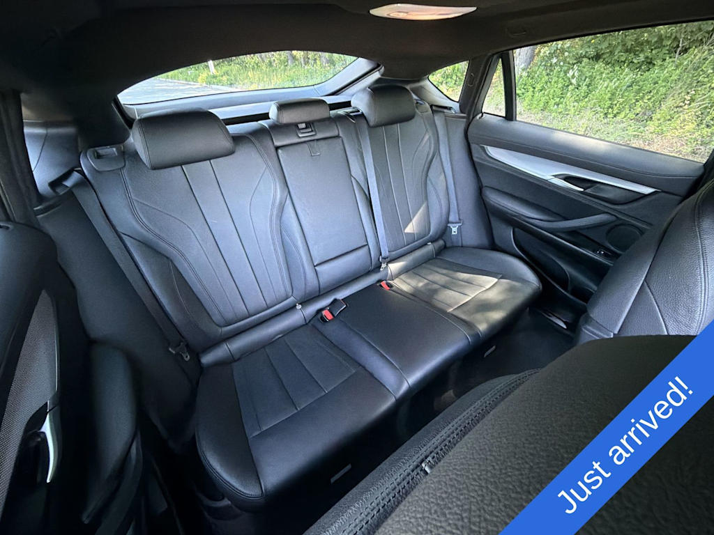 Thumbnail: 2016 BMW X6 - 29