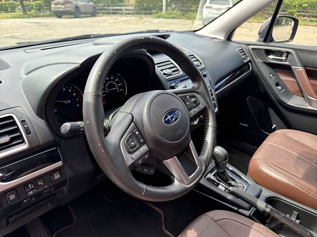 Thumbnail: 2017 Subaru Forester - 13