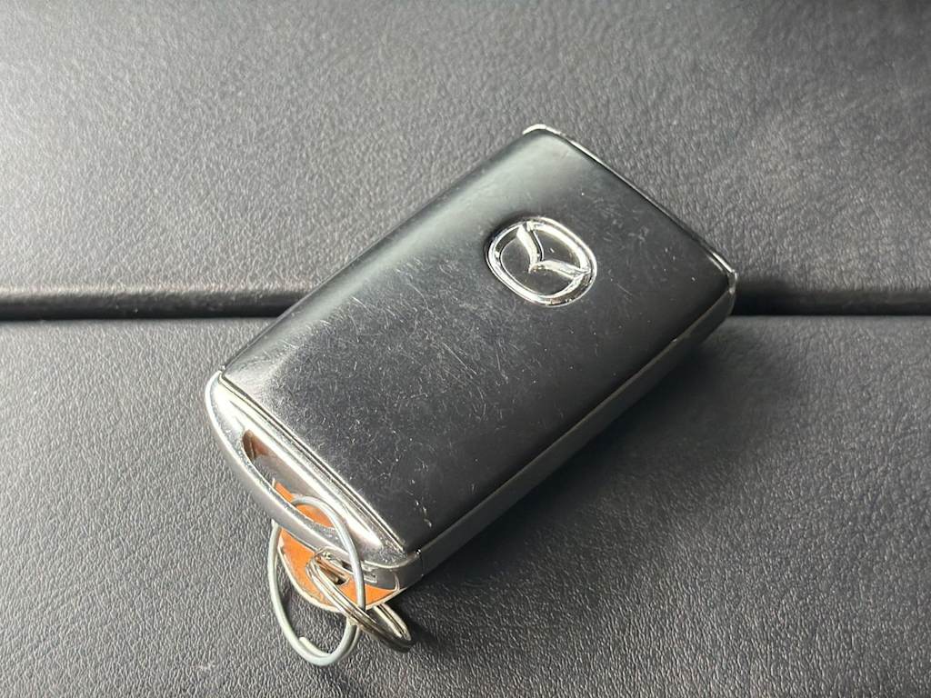 Thumbnail: 2020 Mazda CX-9 - 18