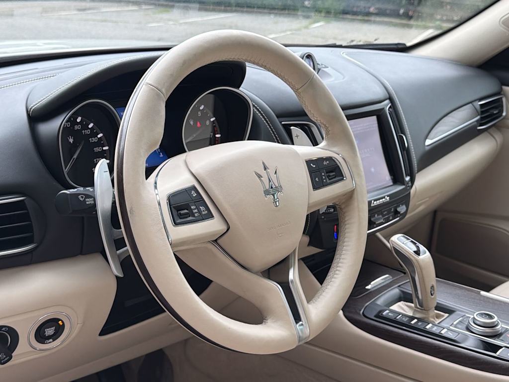Thumbnail: 2020 Maserati Levante - 10