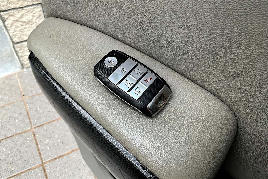 2016 Kia Sedona EX 18