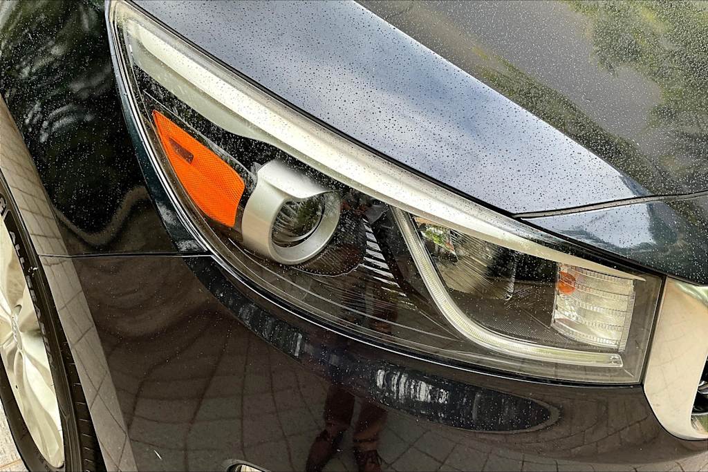 2016 Kia Sedona EX 31