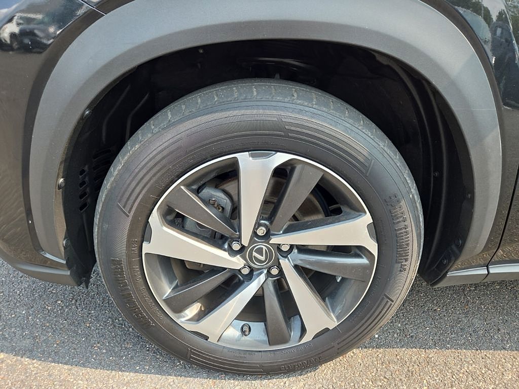 Thumbnail: 2019 Lexus NX - 17
