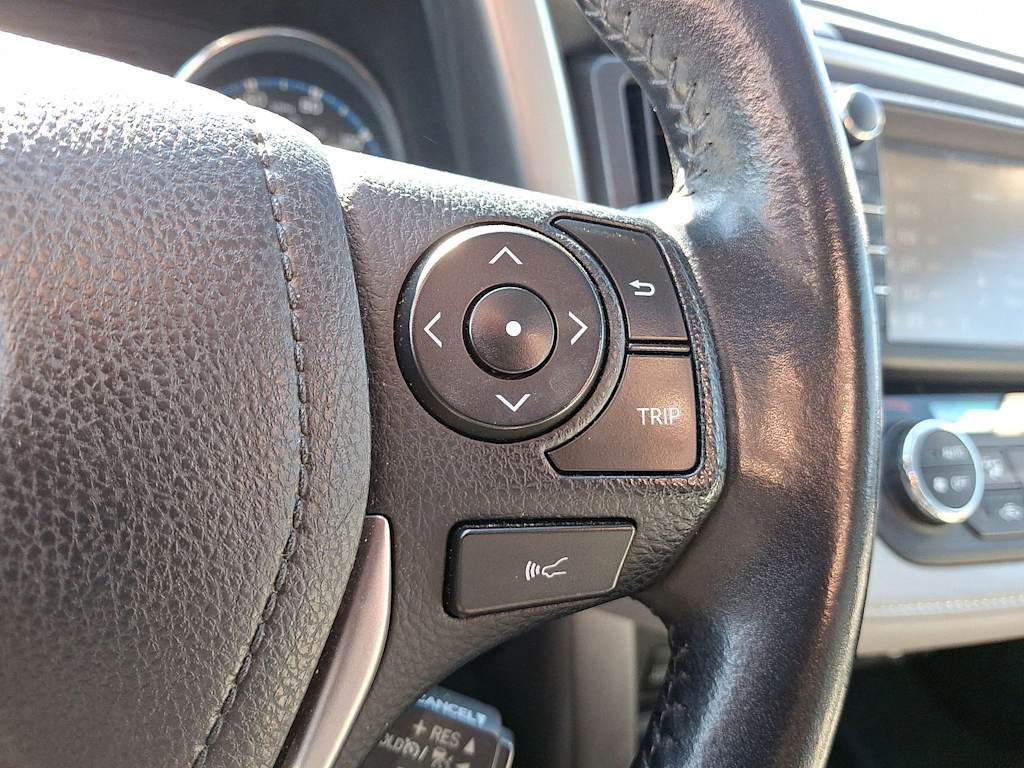 2016 Toyota RAV4 Limited 20