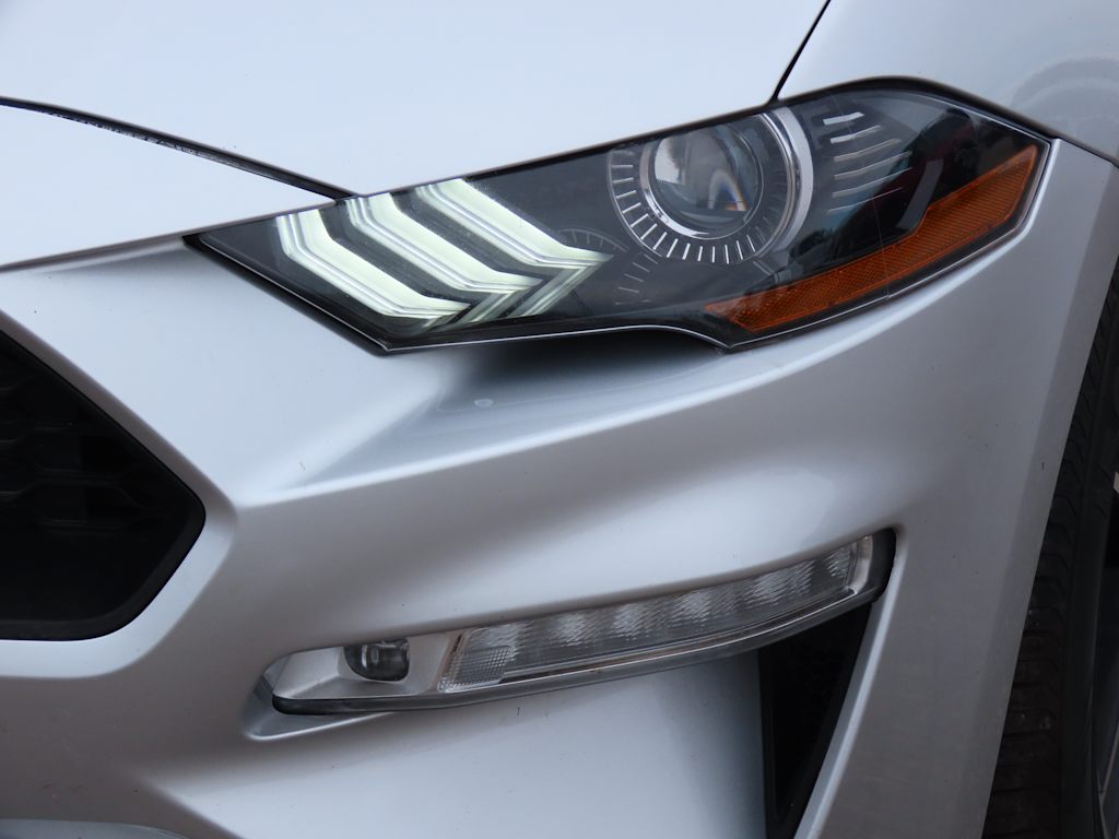 Thumbnail: 2019 Ford Mustang - 21