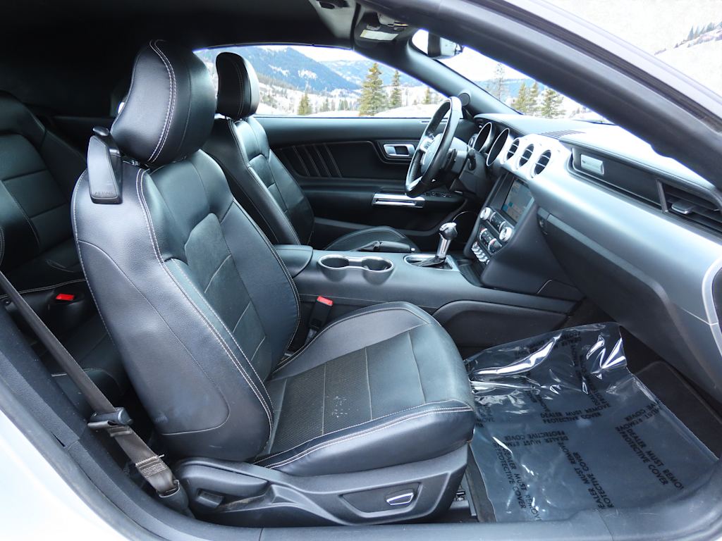 Thumbnail: 2019 Ford Mustang - 10