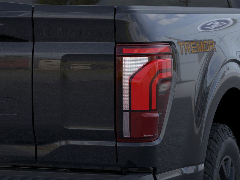 2025 Ford F-150 Tremor 21