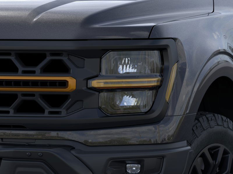2025 Ford F-150 Tremor 19