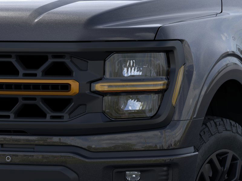 2025 Ford F-150 Tremor 20