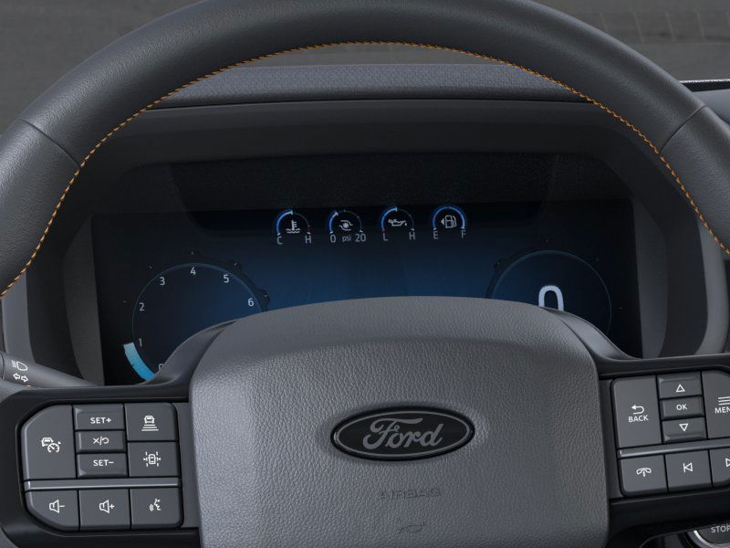 2025 Ford F-150 Tremor 17