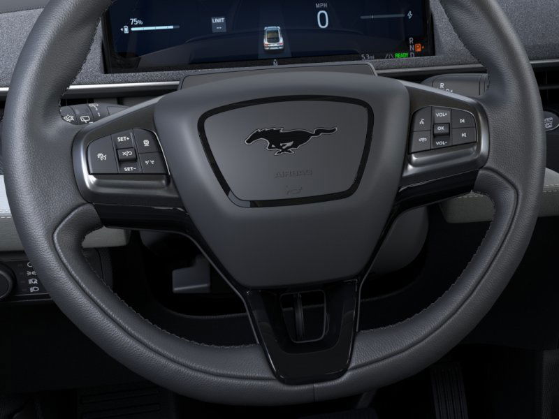 2025 Ford Mustang Mach-E Premium 17