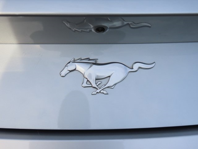 Thumbnail: 2024 Ford Mustang - 7