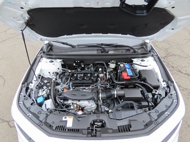 Thumbnail: 2026 Honda Accord - 8