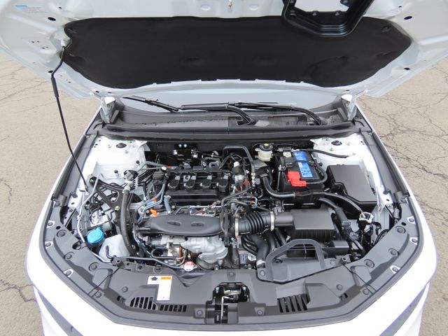 Thumbnail: 2026 Honda Accord - 8