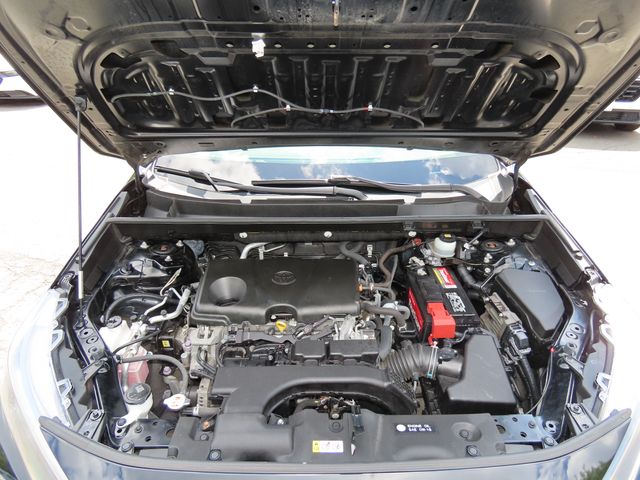 Thumbnail: 2019 Toyota RAV4 - 9