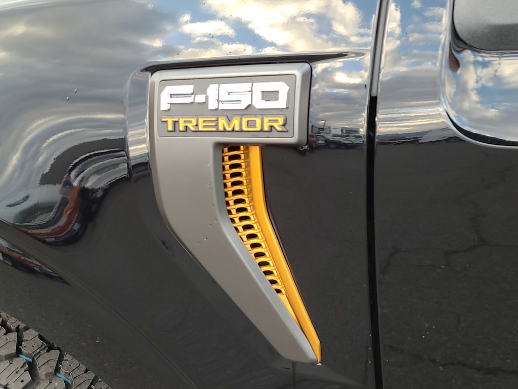 2024 Ford F-150 Tremor 2