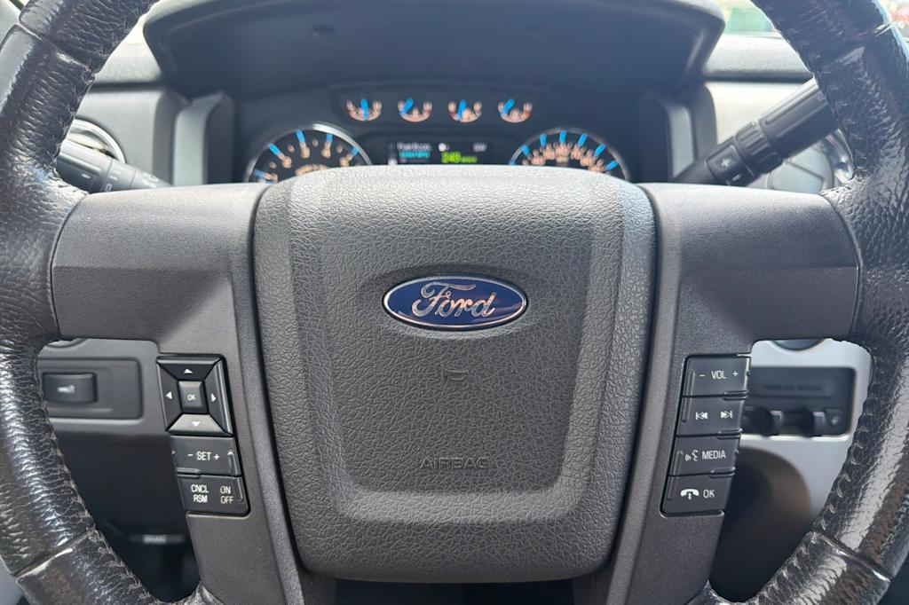 Thumbnail: 2013 Ford F-150 - 25