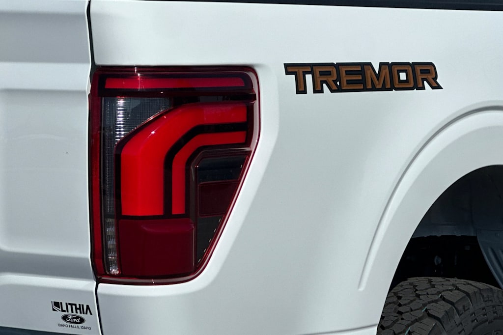 Thumbnail: 2025 Ford F-150 - 28