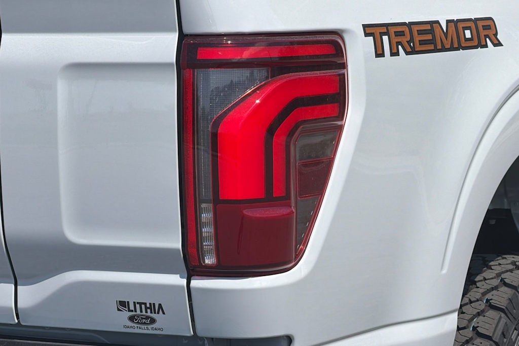 Thumbnail: 2026 Ford F-150 - 28