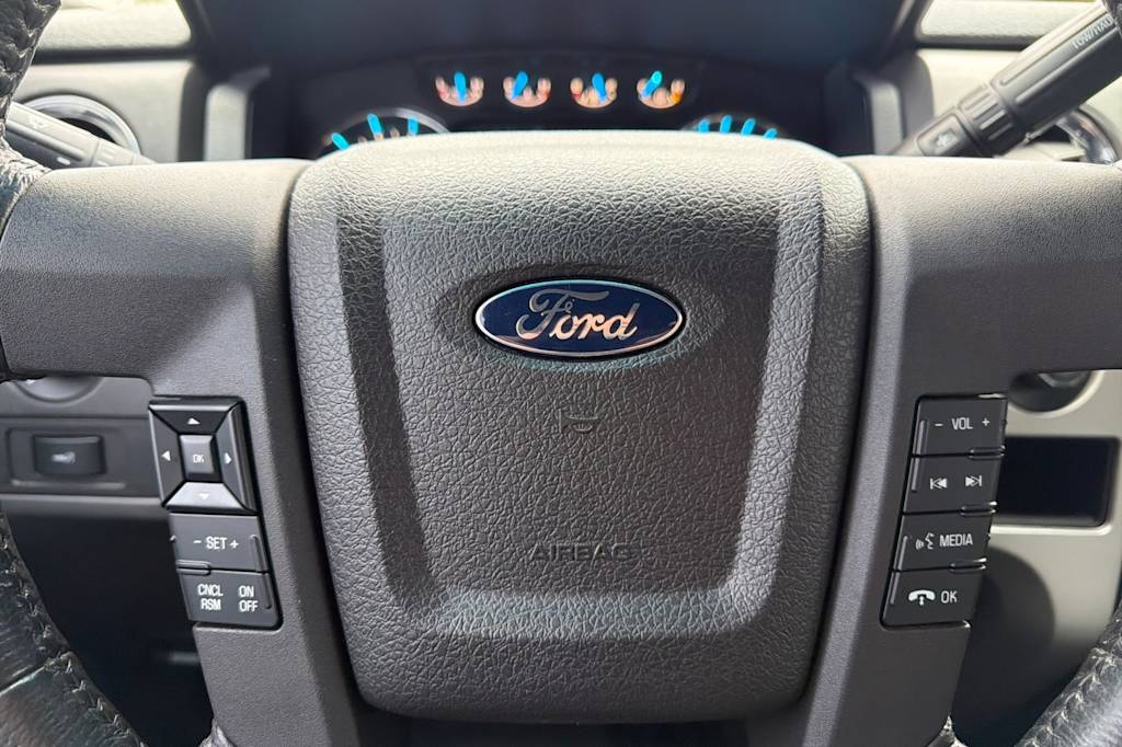 Thumbnail: 2014 Ford F-150 - 21