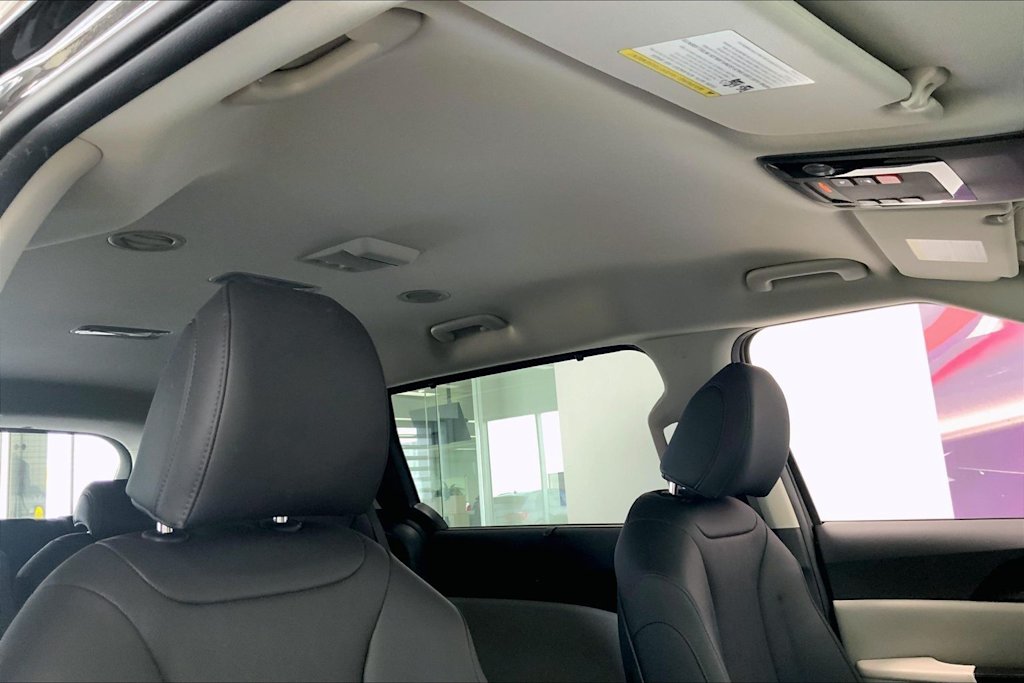 Thumbnail: 2023 Kia Carnival - 28