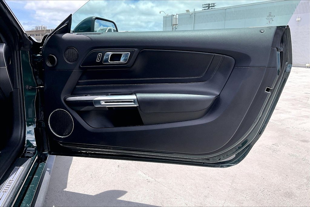 Thumbnail: 2019 Ford Mustang - 27