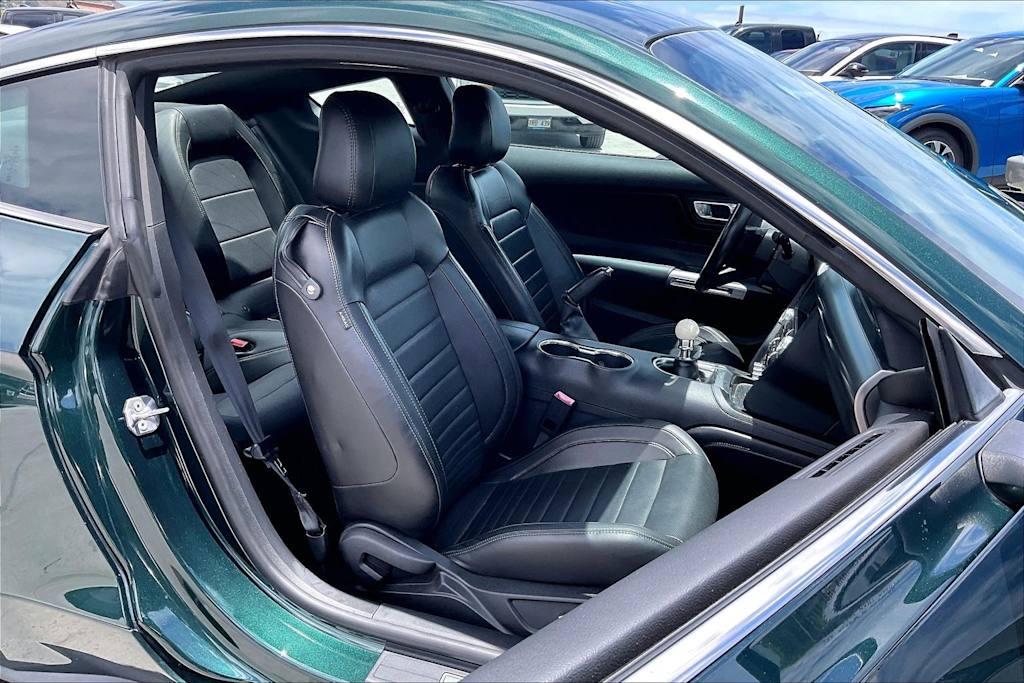 Thumbnail: 2019 Ford Mustang - 11